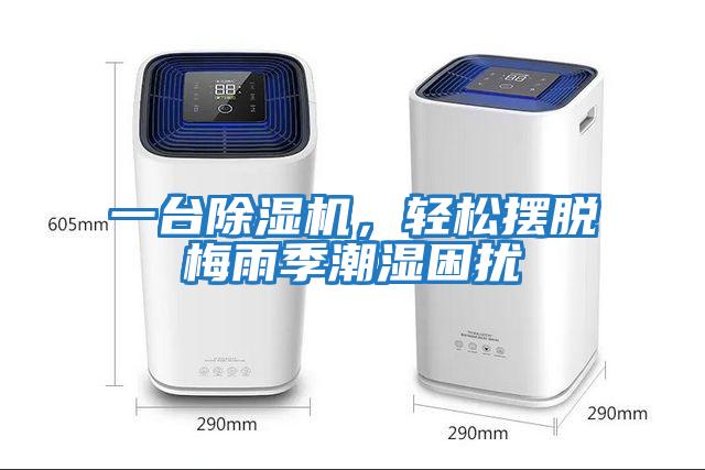 一臺(tái)除濕機(jī)，輕松擺脫梅雨季潮濕困擾