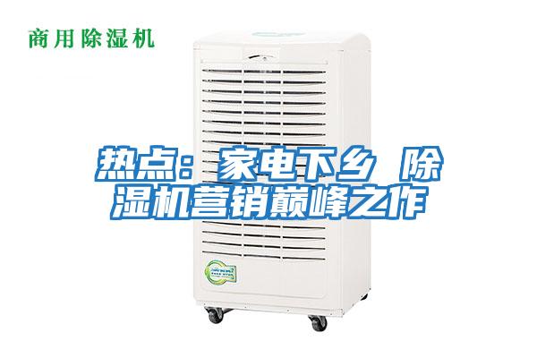 熱點(diǎn)：家電下鄉(xiāng) 除濕機(jī)營銷巔峰之作