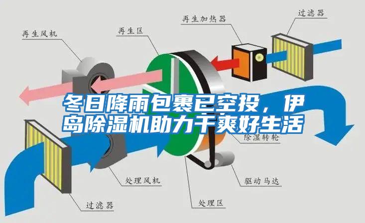 冬日降雨包裹已空投，伊島除濕機助力干爽好生活