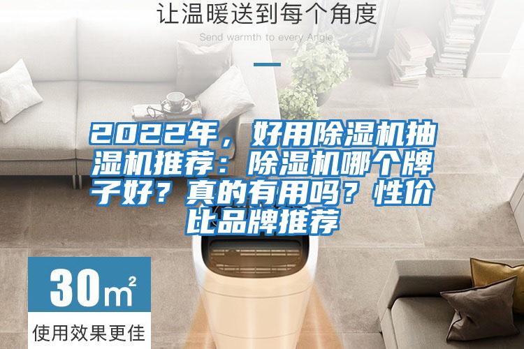 2022年，好用除濕機(jī)抽濕機(jī)推薦：除濕機(jī)哪個牌子好？真的有用嗎？性價比品牌推薦