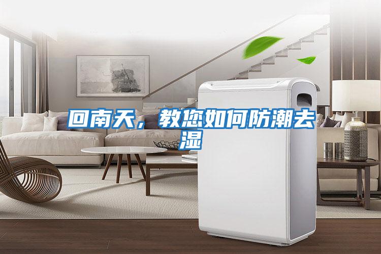 回南天，教您如何防潮去濕