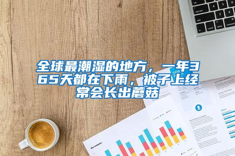 全球最潮濕的地方，一年365天都在下雨，被子上經(jīng)常會(huì)長(zhǎng)出蘑菇