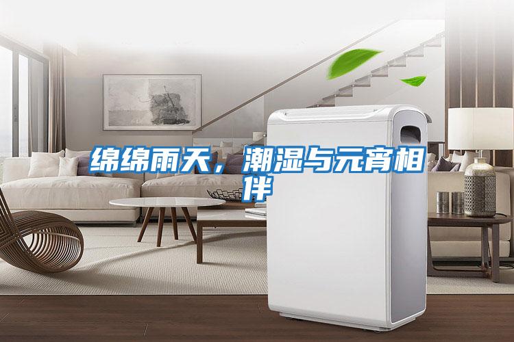 綿綿雨天，潮濕與元宵相伴