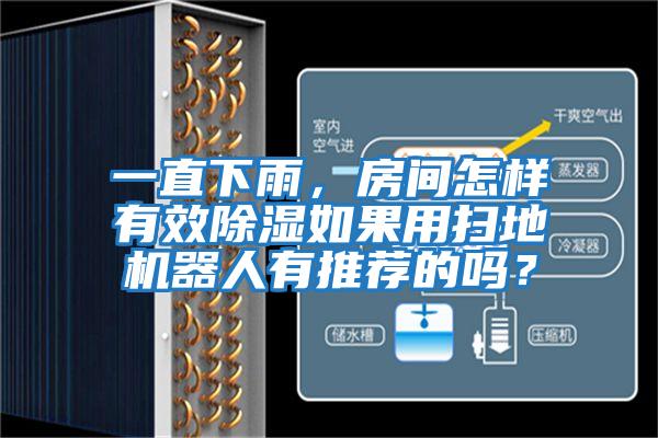 一直下雨，房間怎樣有效除濕如果用掃地機器人有推薦的嗎？