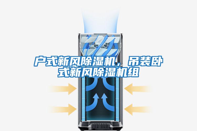 戶(hù)式新風(fēng)除濕機(jī)，吊裝臥式新風(fēng)除濕機(jī)組