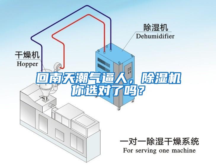 回南天潮氣逼人，除濕機(jī)你選對(duì)了嗎？