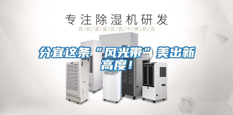 分宜這條“風光帶”美出新高度！