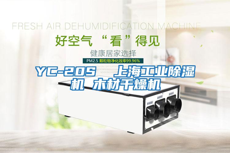 YC-20S  上海工業(yè)除濕機(jī) 木材干燥機(jī)