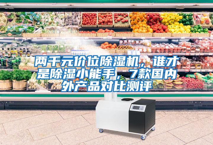 兩千元價位除濕機，誰才是除濕小能手，7款國內(nèi)外產(chǎn)品對比測評