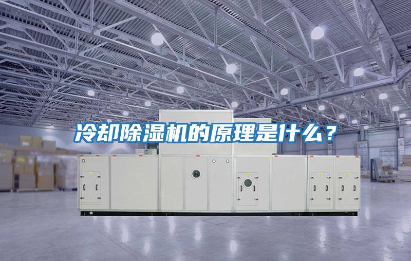 冷卻除濕機的原理是什么？