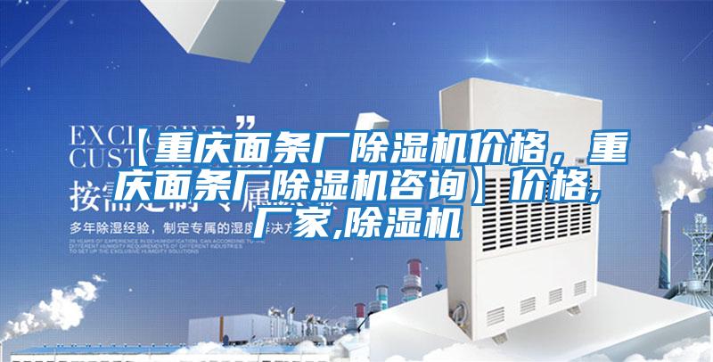 【重慶面條廠除濕機價格，重慶面條廠除濕機咨詢】價格,廠家,除濕機