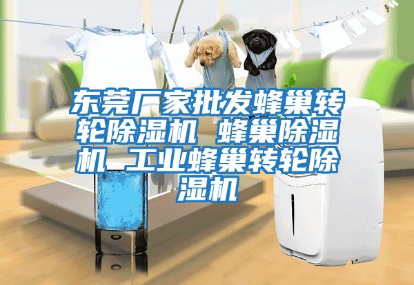 東莞廠家批發蜂巢轉輪除濕機 蜂巢除濕機 工業蜂巢轉輪除濕機