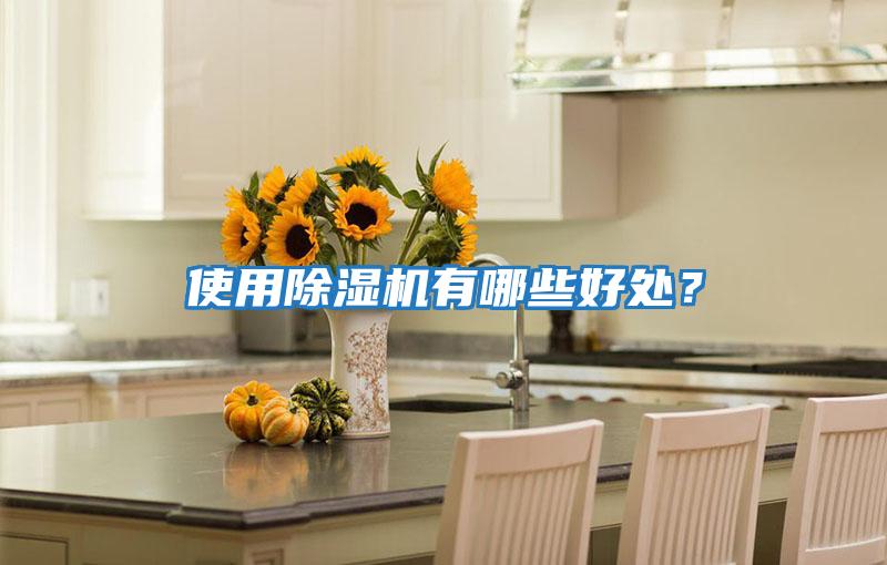 使用除濕機有哪些好處？