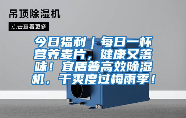 今日福利｜每日一杯營養(yǎng)麥片，健康又落味！宜盾普高效除濕機，干爽度過梅雨季！