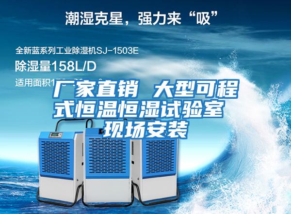 廠家直銷 大型可程式恒溫恒濕試驗室 現場安裝
