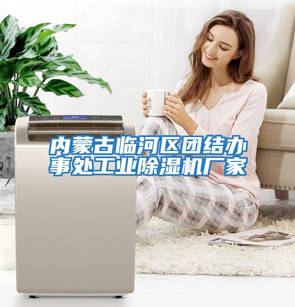 內蒙古臨河區(qū)團結辦事處工業(yè)除濕機廠家