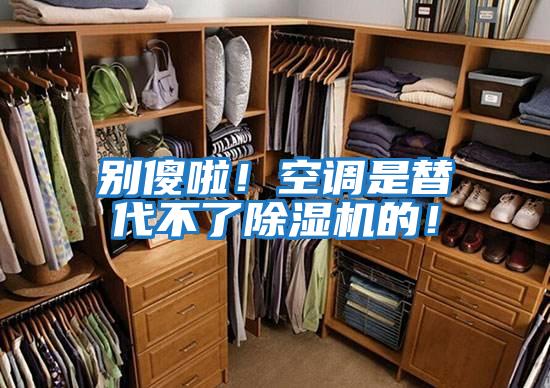 別傻啦！空調是替代不了除濕機的！