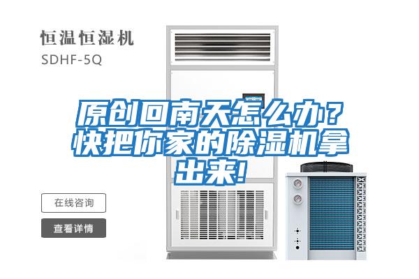 原創回南天怎么辦？快把你家的除濕機拿出來!