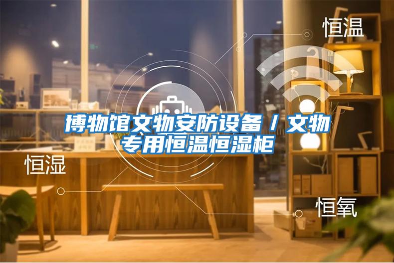 博物館文物安防設備／文物專用恒溫恒濕柜