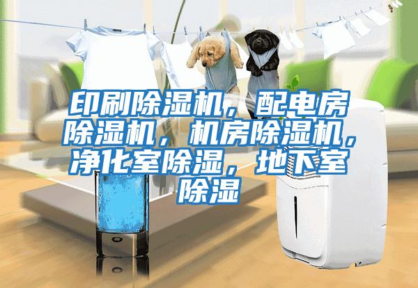 印刷除濕機，配電房除濕機，機房除濕機，凈化室除濕，地下室除濕