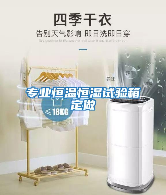 專業恒溫恒濕試驗箱定做