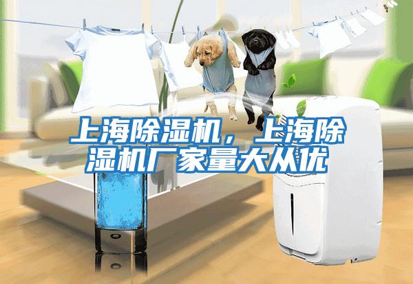 上海除濕機(jī)，上海除濕機(jī)廠家量大從優(yōu)