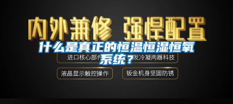 什么是真正的恒溫恒濕恒氧系統？