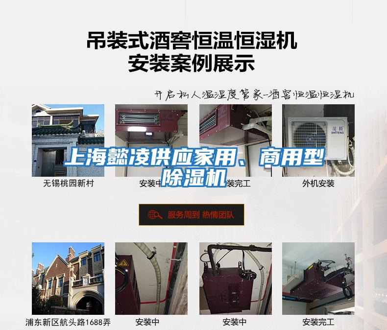 上海懿凌供應(yīng)家用、商用型除濕機(jī)