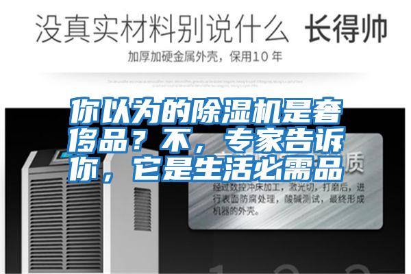 你以為的除濕機是奢侈品？不，專家告訴你，它是生活必需品