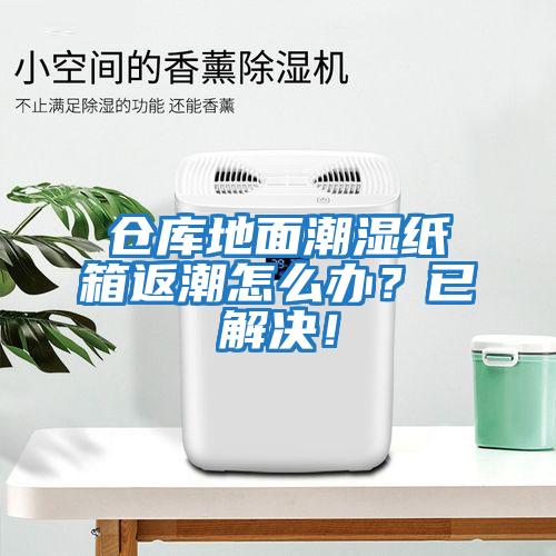 倉(cāng)庫(kù)地面潮濕紙箱返潮怎么辦？已解決！