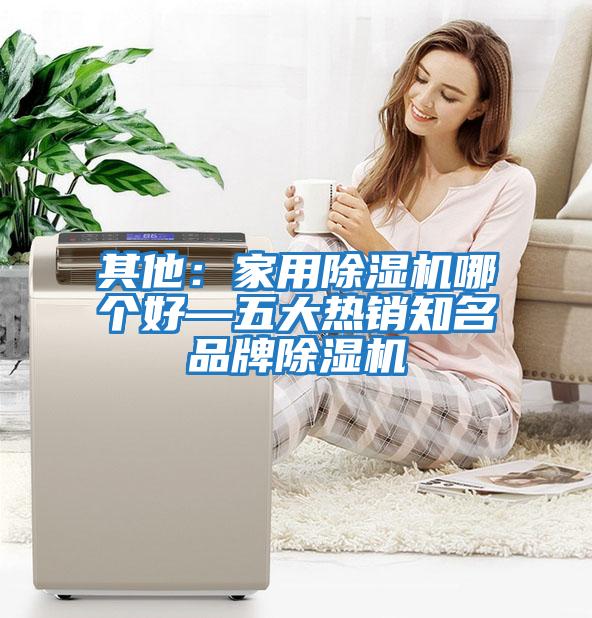 其他：家用除濕機哪個好—五大熱銷知名品牌除濕機