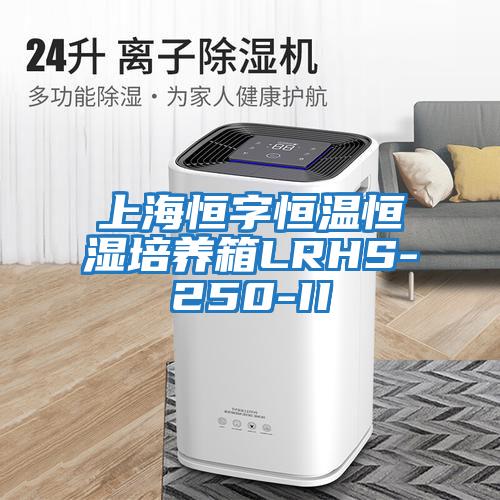上海恒字恒溫恒濕培養箱LRHS-250-II