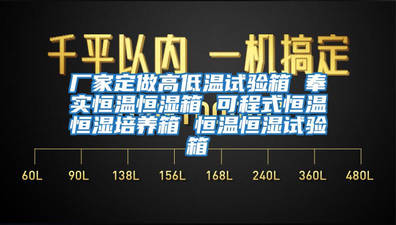 廠家定做高低溫試驗箱 奉實恒溫恒濕箱 可程式恒溫恒濕培養箱 恒溫恒濕試驗箱