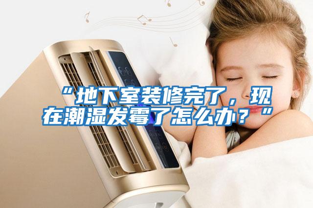 “地下室裝修完了，現在潮濕發霉了怎么辦？”