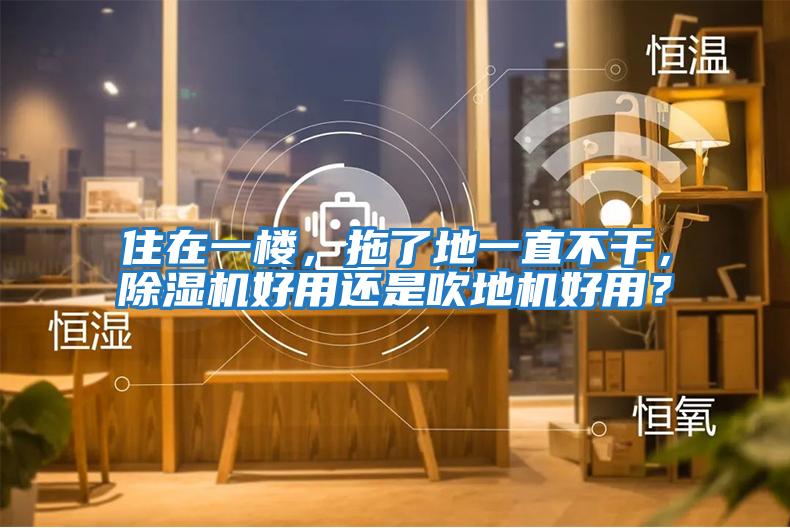 住在一樓，拖了地一直不干，除濕機好用還是吹地機好用？