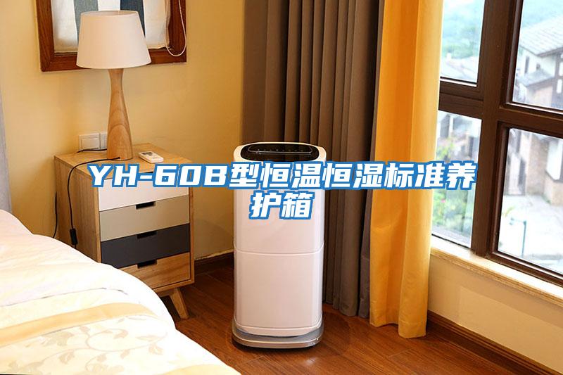 YH-60B型恒溫恒濕標(biāo)準(zhǔn)養(yǎng)護(hù)箱