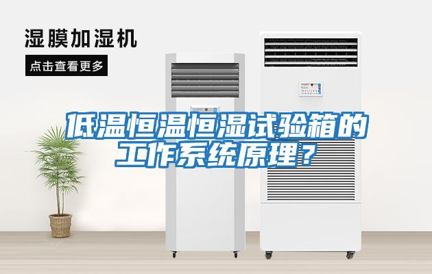 低溫恒溫恒濕試驗箱的工作系統原理？