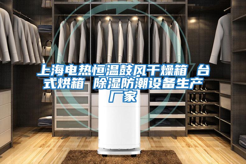 上海電熱恒溫鼓風干燥箱 臺式烘箱 除濕防潮設備生產廠家