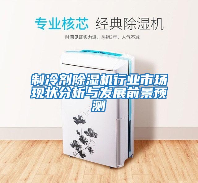 制冷劑除濕機行業(yè)市場現(xiàn)狀分析與發(fā)展前景預(yù)測