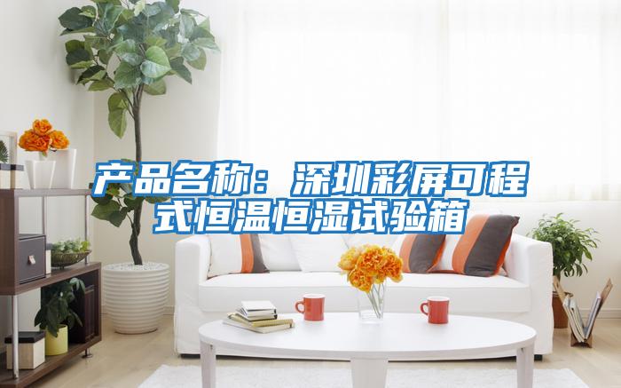 產品名稱：深圳彩屏可程式恒溫恒濕試驗箱