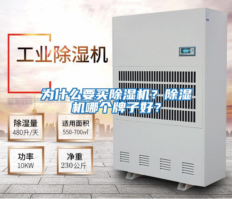 為什么要買除濕機？除濕機哪個牌子好？