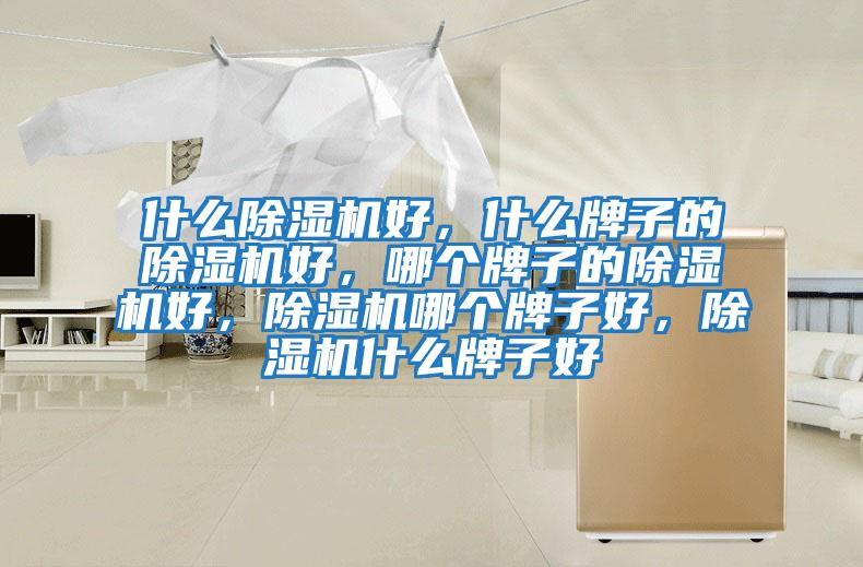 什么除濕機好，什么牌子的除濕機好，哪個牌子的除濕機好，除濕機哪個牌子好，除濕機什么牌子好