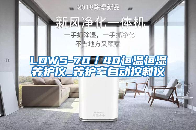 LDWS-70／40恒溫恒濕養護儀_養護室自動控制儀