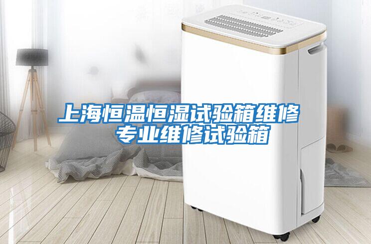 上海恒溫恒濕試驗箱維修  專業維修試驗箱