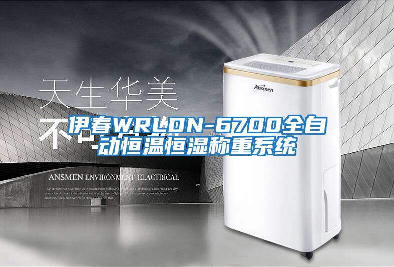 伊春WRLDN-6700全自動恒溫恒濕稱重系統