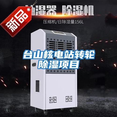 臺山核電站轉輪除濕項目