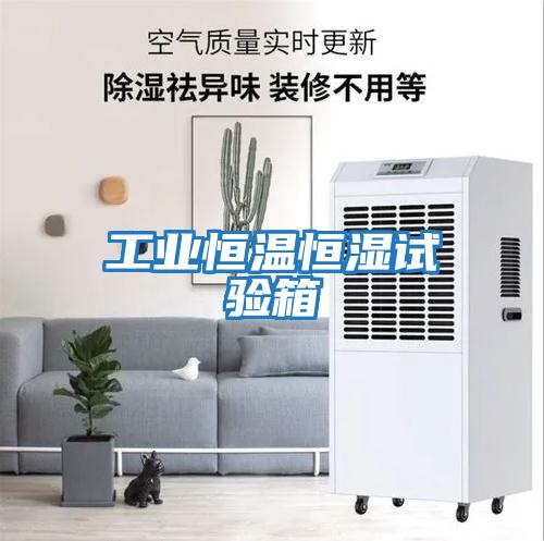 工業恒溫恒濕試驗箱