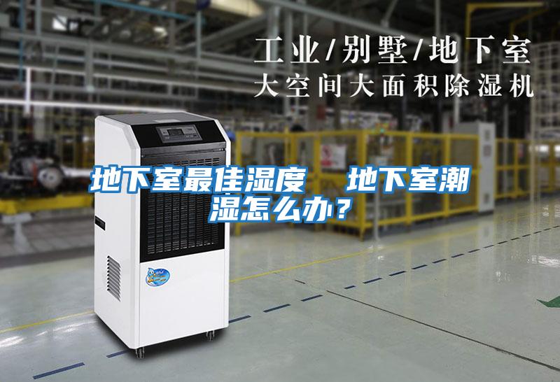 地下室最佳濕度  地下室潮濕怎么辦？