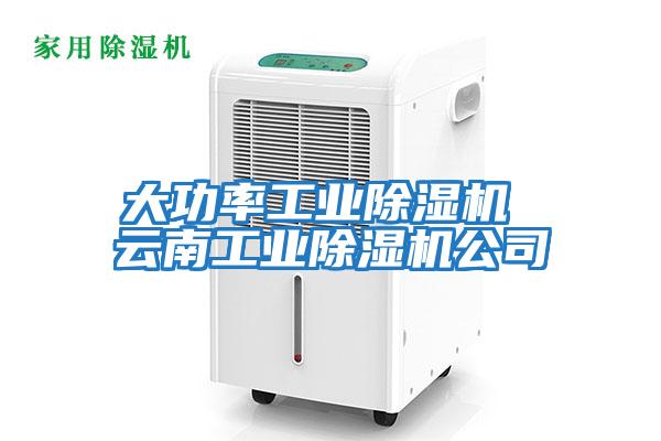 大功率工業除濕機 云南工業除濕機公司