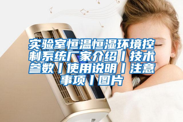 實驗室恒溫恒濕環境控制系統廠家介紹丨技術參數丨使用說明丨注意事項丨圖片